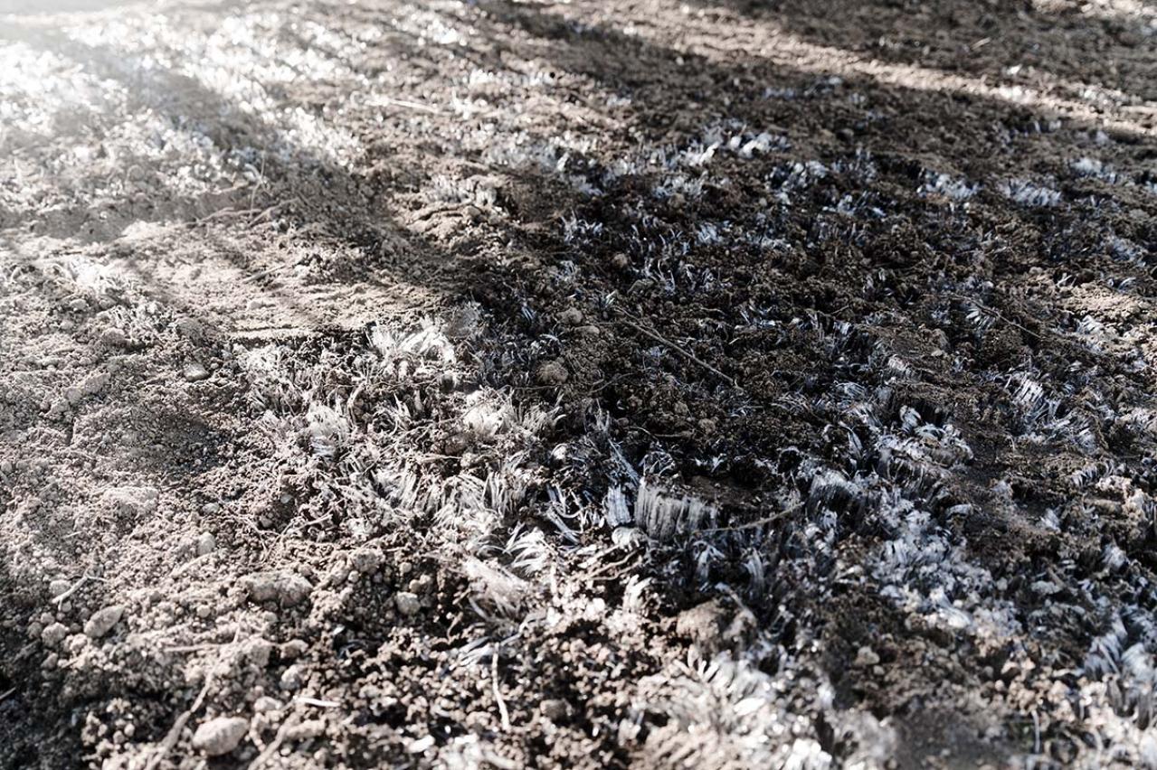 樋口一葉の『別れ霜』あらすじ紹介。愛と義理、家族の期待と個人の自由が複雑に絡み合う物語