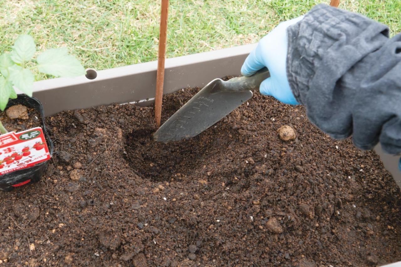 【ガーデニング】庭がなくてもOK！たくさん収穫できる「コンテナ菜園」春〜夏バージョン（画像12）