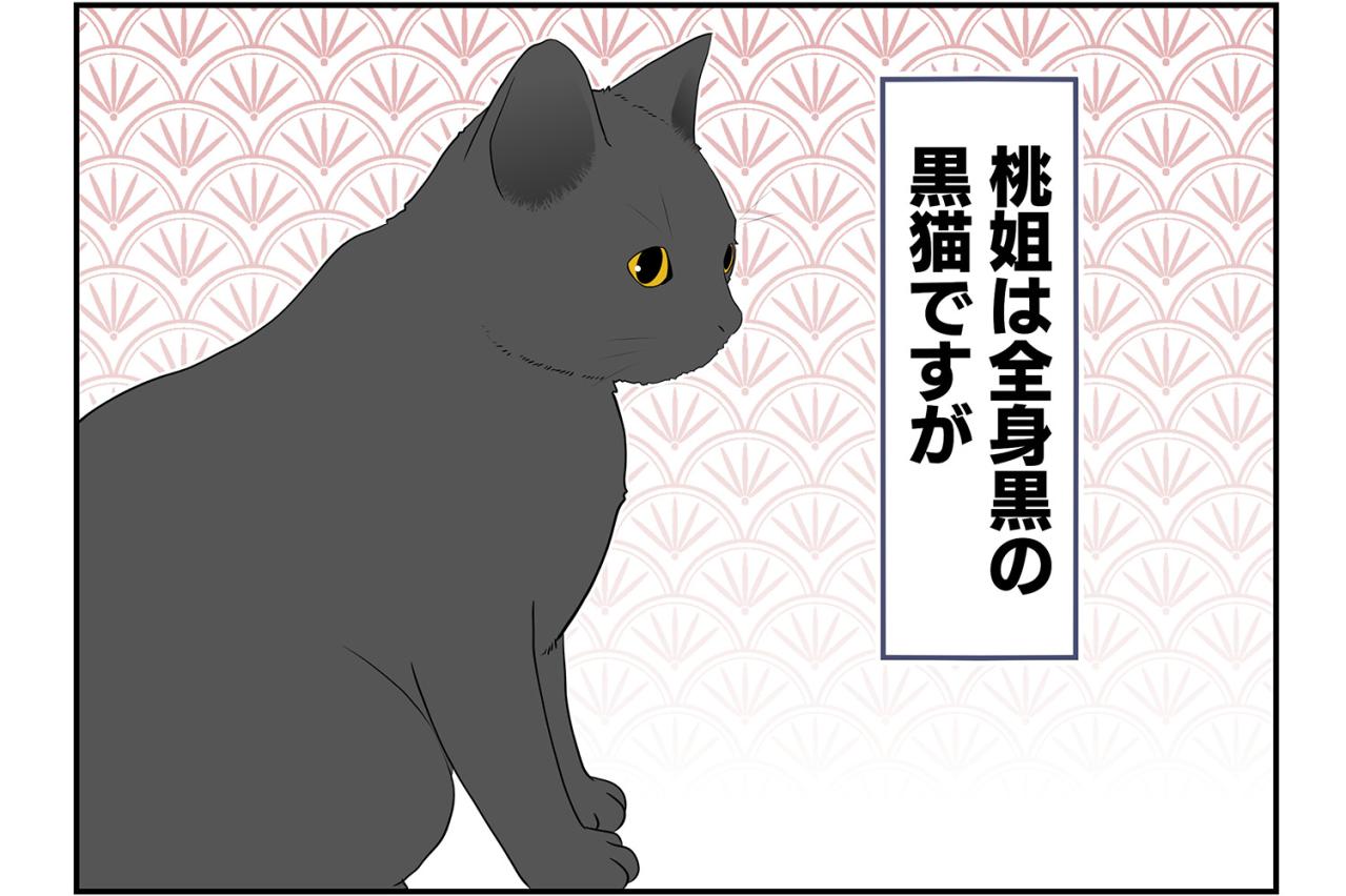 【老猫マンガ】年をとってもかわらないもの…18歳の元保護猫・桃姐［＃29］