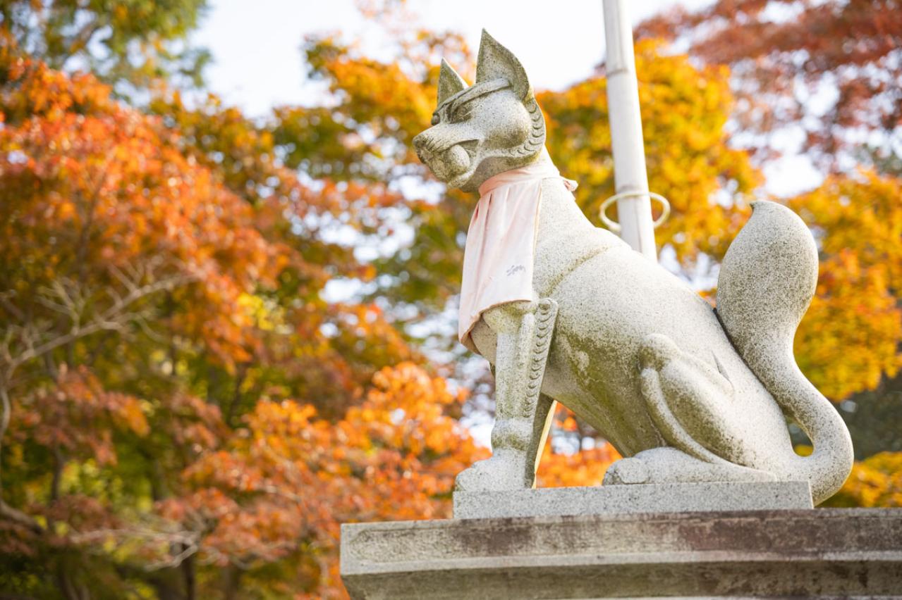 宮沢賢治の『青びかる天弧のはてに』あらすじ紹介。詩のように美しい本作の味わい方は？