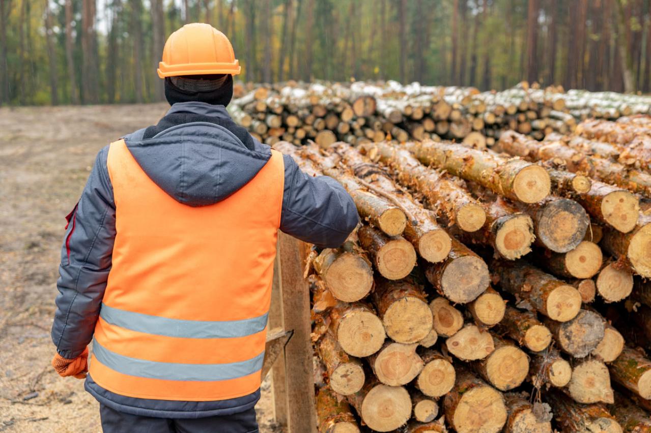柳田国男『アテヌキという地名』のあらすじ紹介。時代を超えて語られる地名と樹木の謎とは？