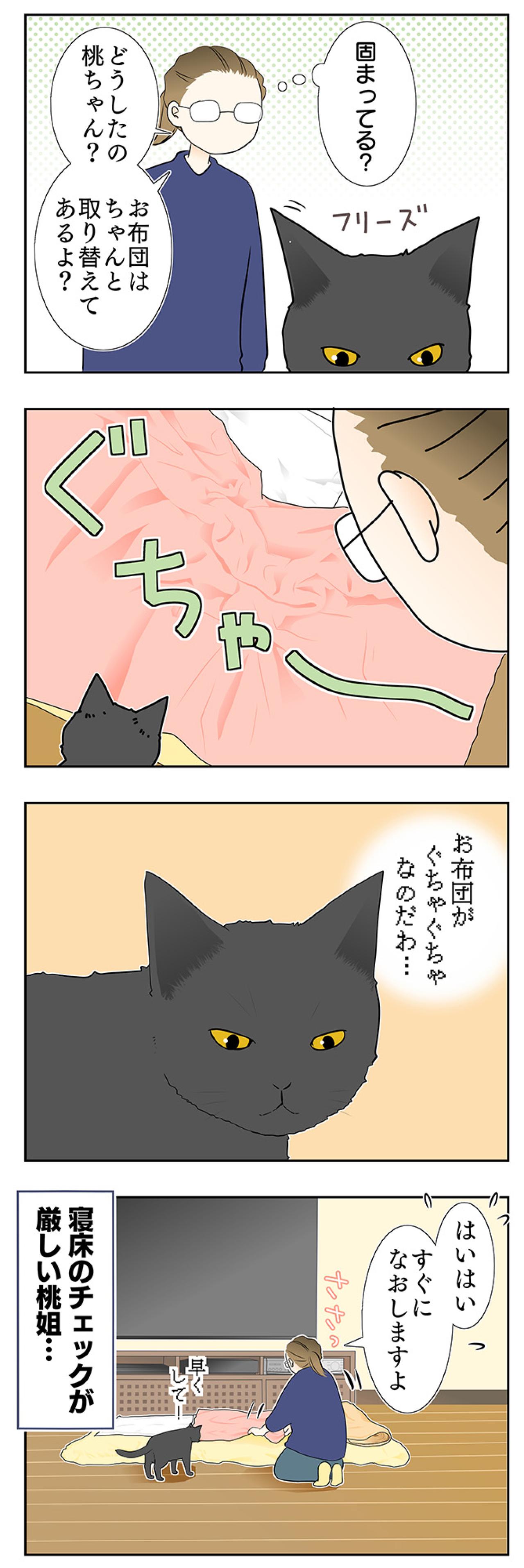 【老猫マンガ】ぐちゃぐちゃな布団の意味は？18歳の元保護猫・桃姐［＃30］（画像3）