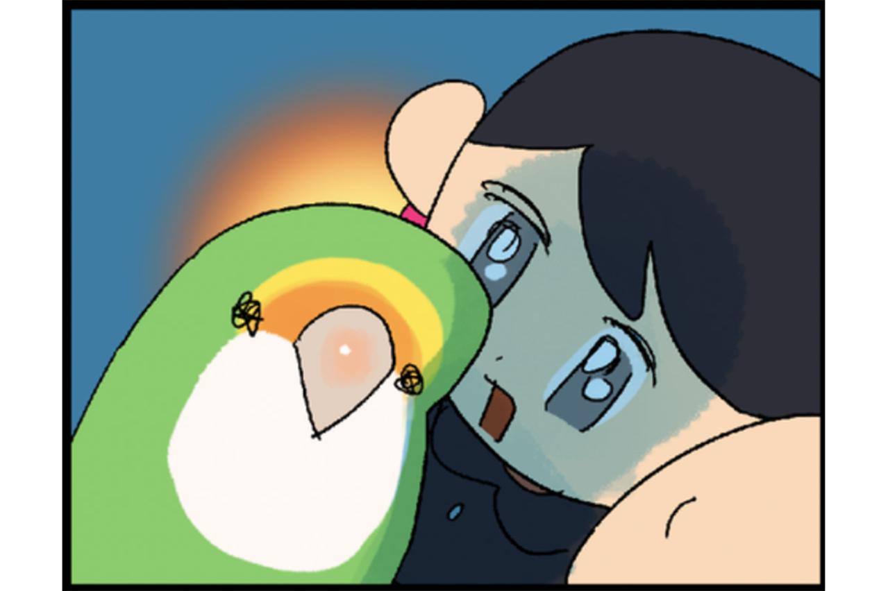 温和なインコ・パルちゃんの思い出／女帝インコ近い…（かわいいけど怖い）　【鳥マンガ＃47】