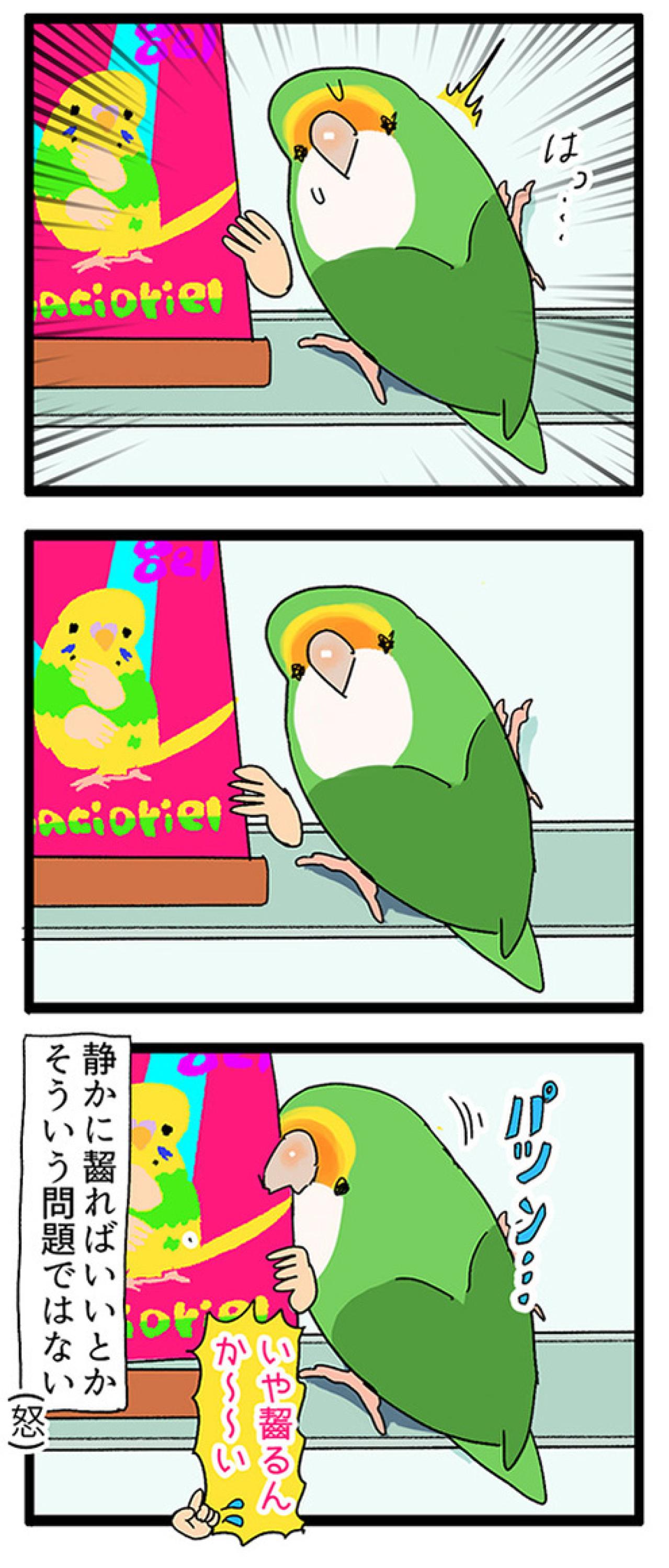 愛インコの変化に敏感な飼い主／ポスターをかじらないで！【鳥マンガ＃49】（画像5）