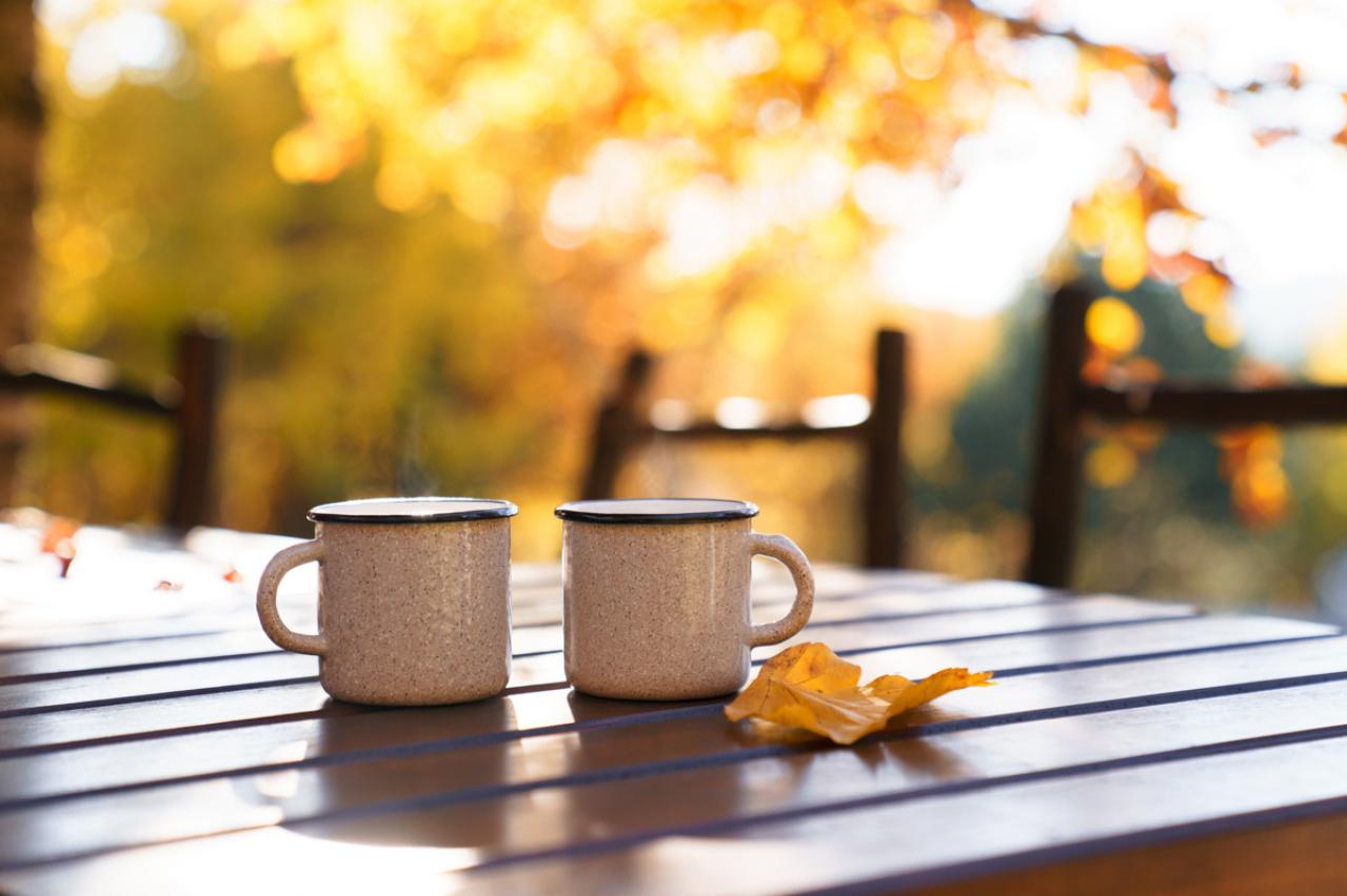 樋口一葉『あきあはせ』のあらすじ紹介。四季の移ろいと記憶が交錯する情緒豊かな短編小説