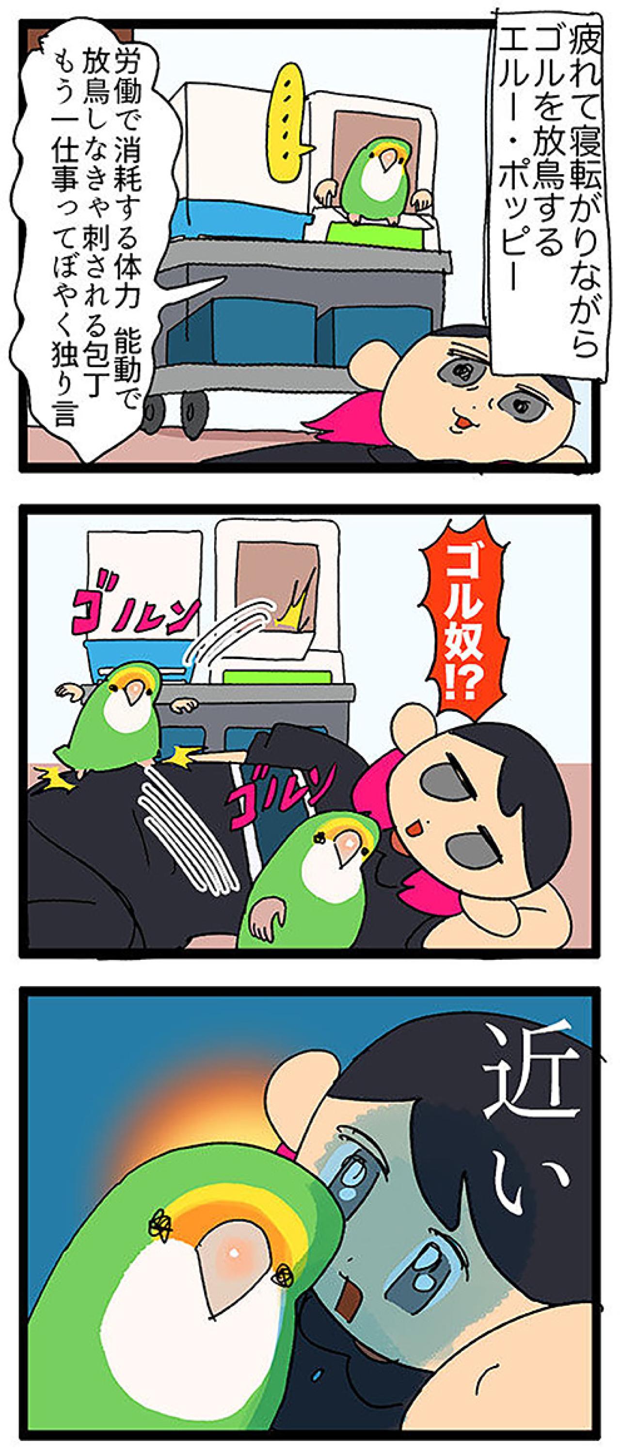 温和なインコ・パルちゃんの思い出／女帝インコ近い…（かわいいけど怖い）　【鳥マンガ＃47】（画像6）