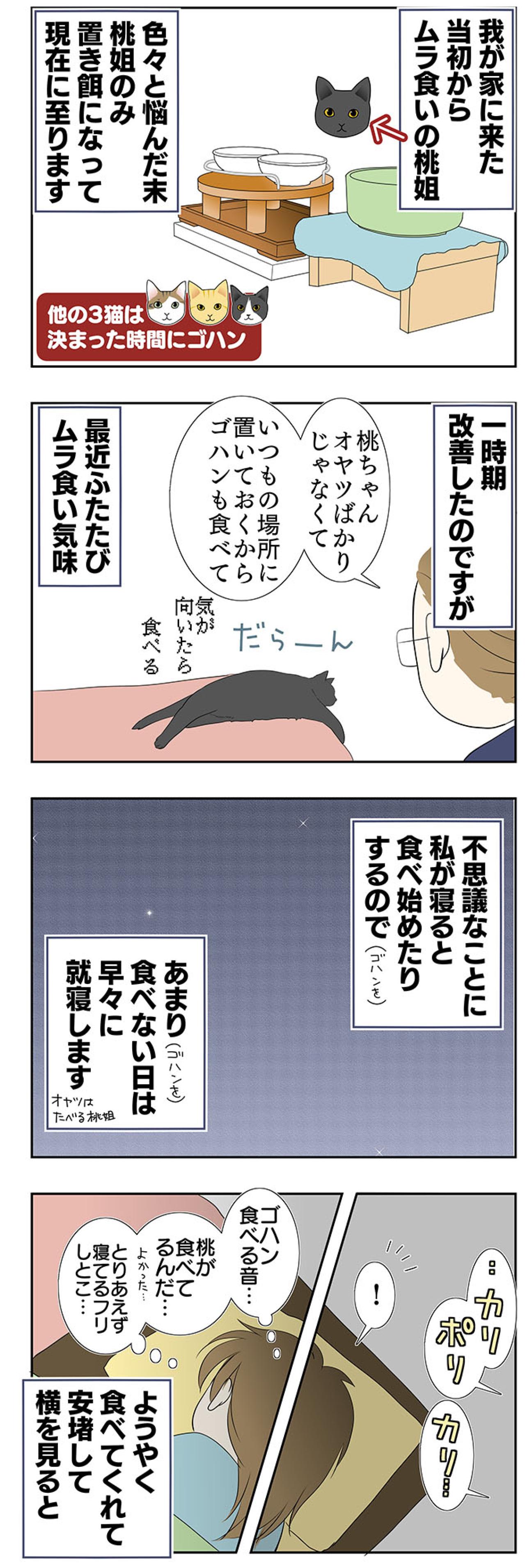 【老猫マンガ】猫、つまみ食いをする。18歳の元保護猫・桃姐［＃32］（画像2）