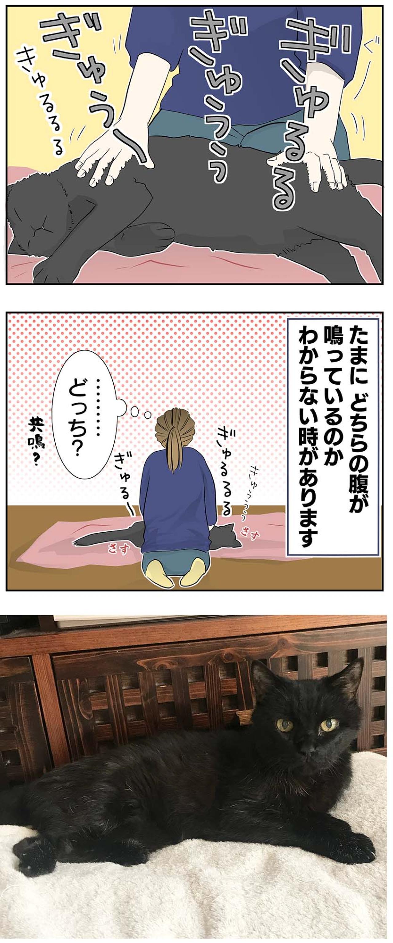 【マンガ・老猫日誌＃31】共鳴する猫と飼い主…19歳の元保護猫・桃姐（画像3）