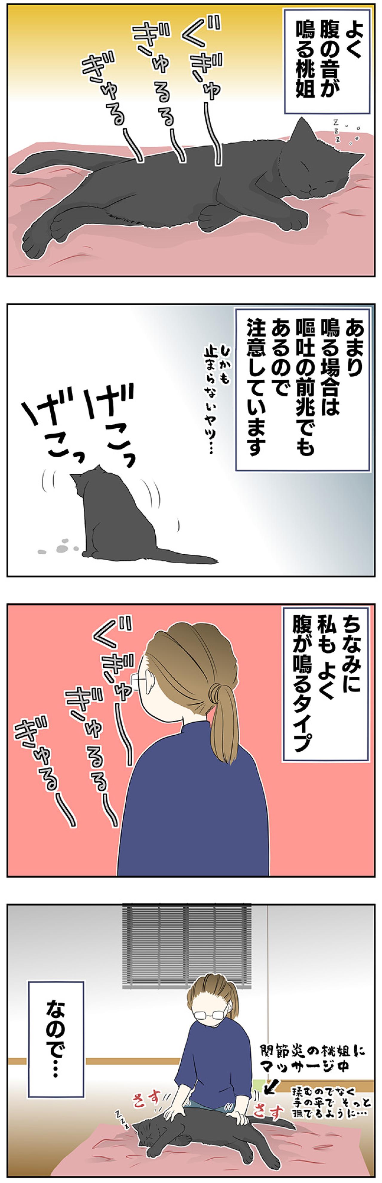 【老猫マンガ】共鳴する猫と飼い主…18歳の元保護猫・桃姐［＃31］（画像2）