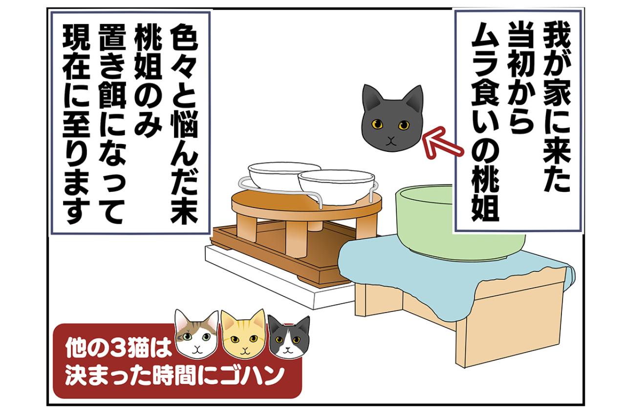 【老猫マンガ】猫、つまみ食いをする。18歳の元保護猫・桃姐［＃32］