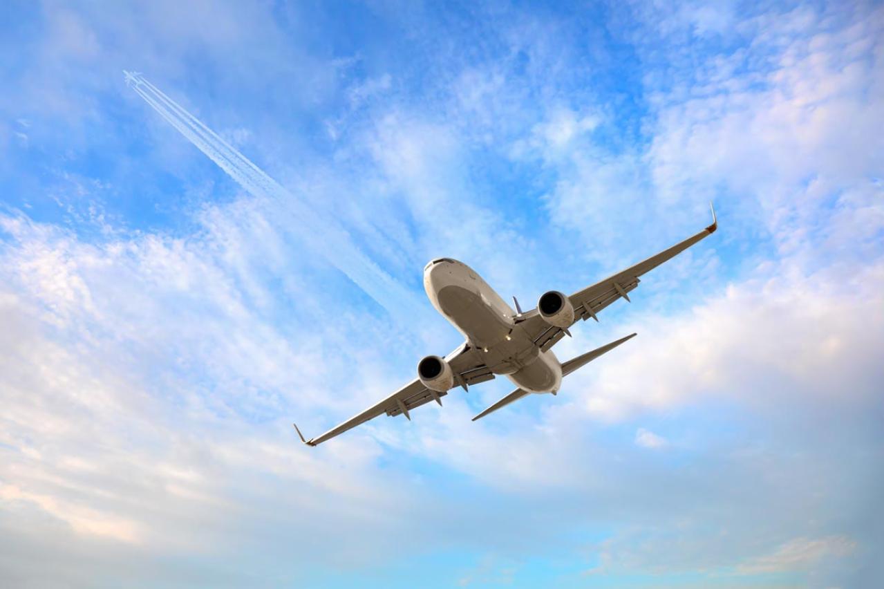 「やまとなでしこ」桜子から「あんぱん」登美子へ。松嶋菜々子×脚本 中園ミホのメッセージとは？王道ラブコメ「やまとなでしこ」を一気見