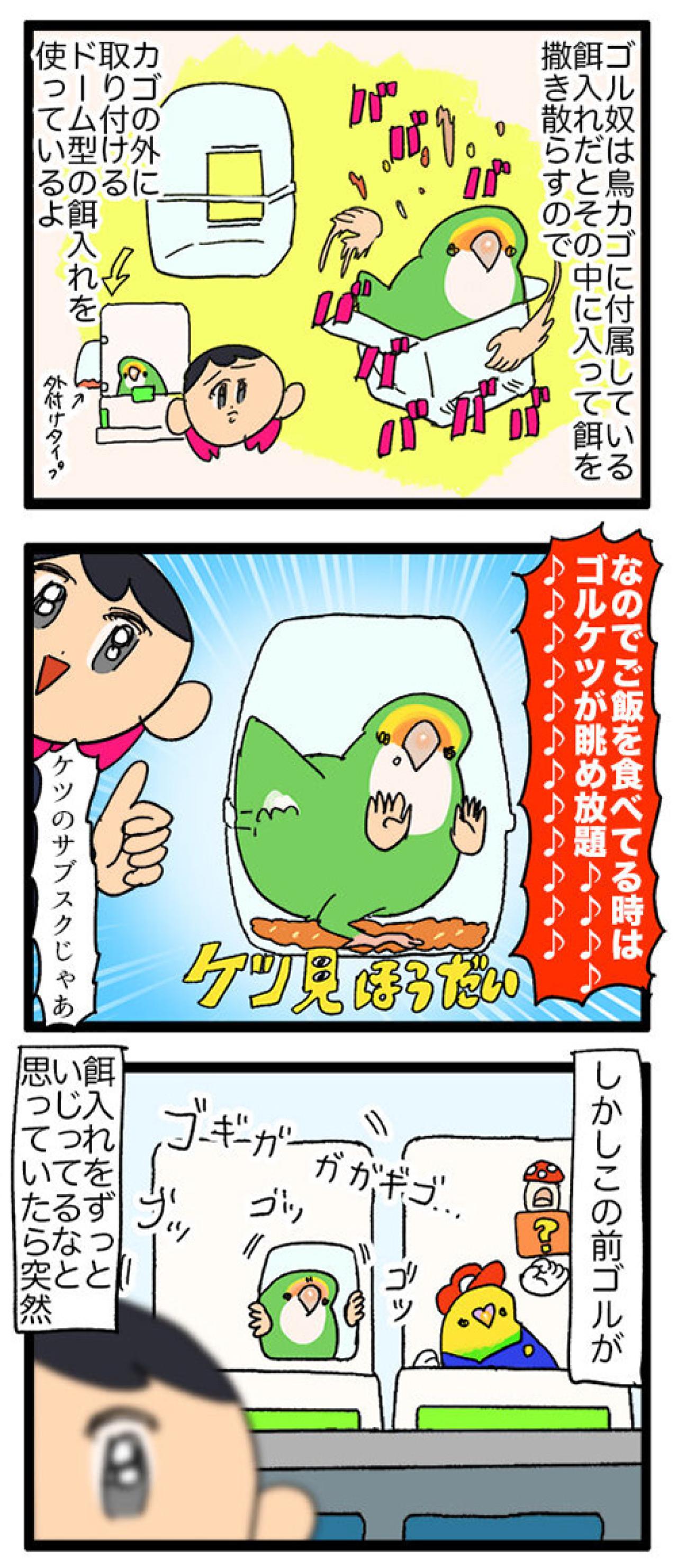 女帝インコのちょっと横暴なエピソード2選…見ていると不意打ち食らいがち【鳥マンガ＃53】（画像3）