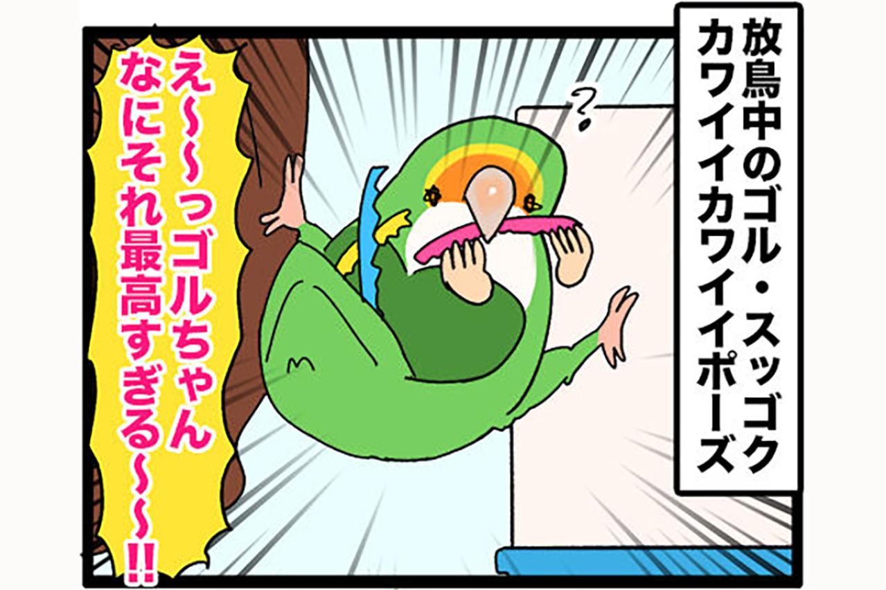 愛インコの写真撮影で失敗した理由／インコ達からもらうおこぼれがおいしい【鳥マンガ＃50】