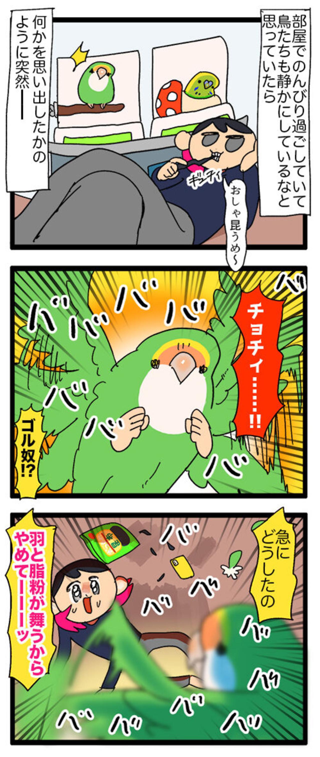 女帝インコのちょっと横暴なエピソード2選…見ていると不意打ち食らいがち【鳥マンガ＃53】（画像5）