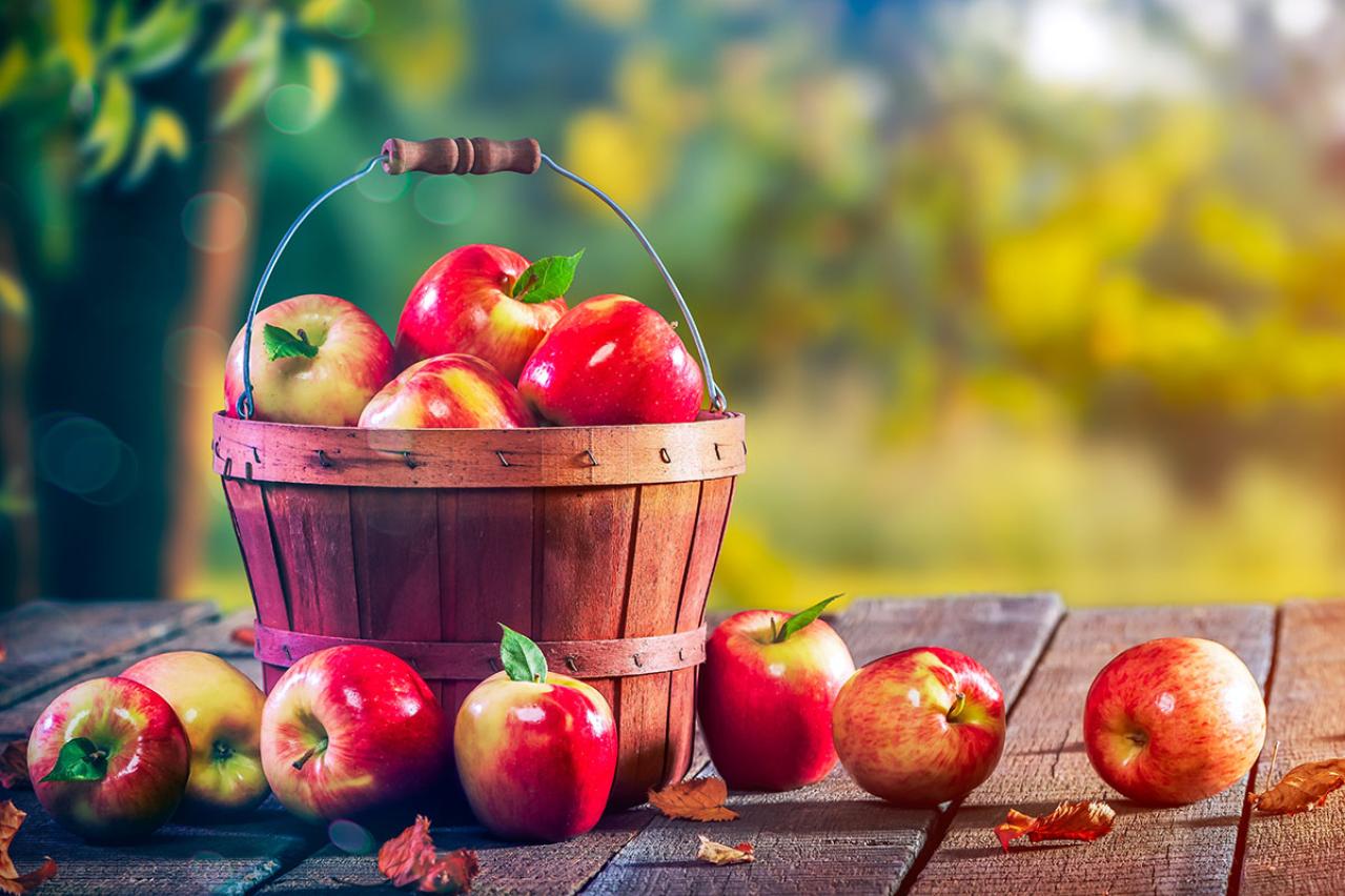 萩原朔太郎の『秋』あらすじ紹介。大正時代に描かれた自然の美しさに酔いしれる