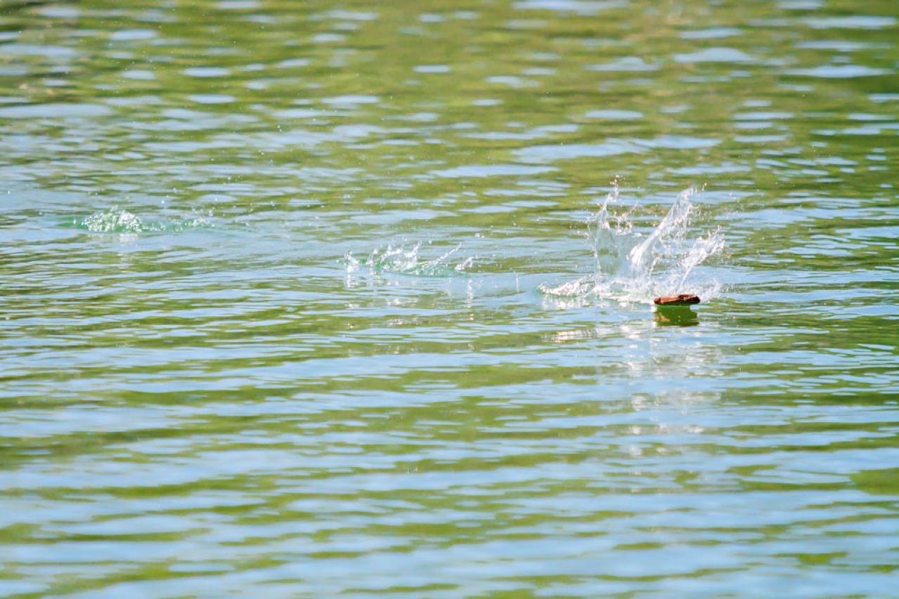 河原での水切りは1回！？和平（中井貴一）はコントロールは悪いがいいプレーをしたと思う【続続・最後から二番目の恋】第6話レビュー （画像3）
