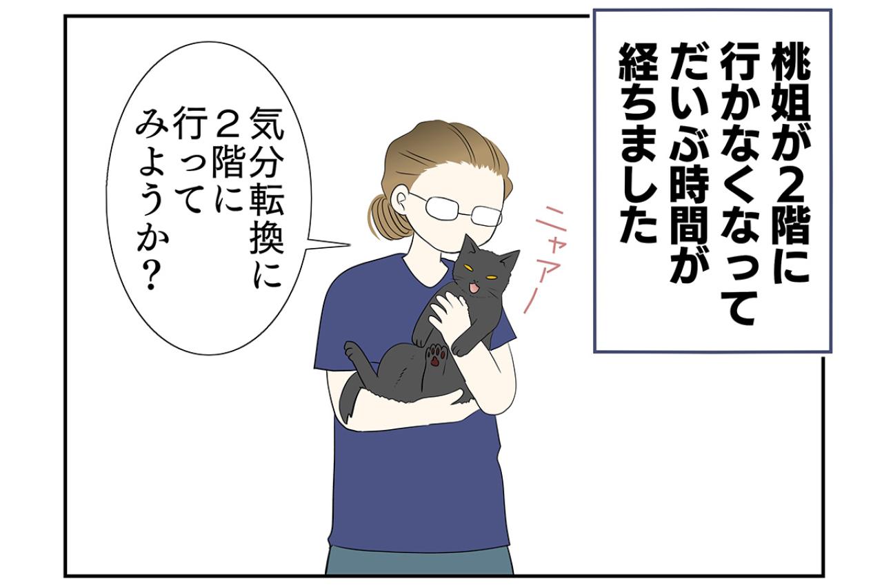 【老猫マンガ】猫、互いの存在を忘れる？ 18歳の元保護猫・桃姐［＃34］