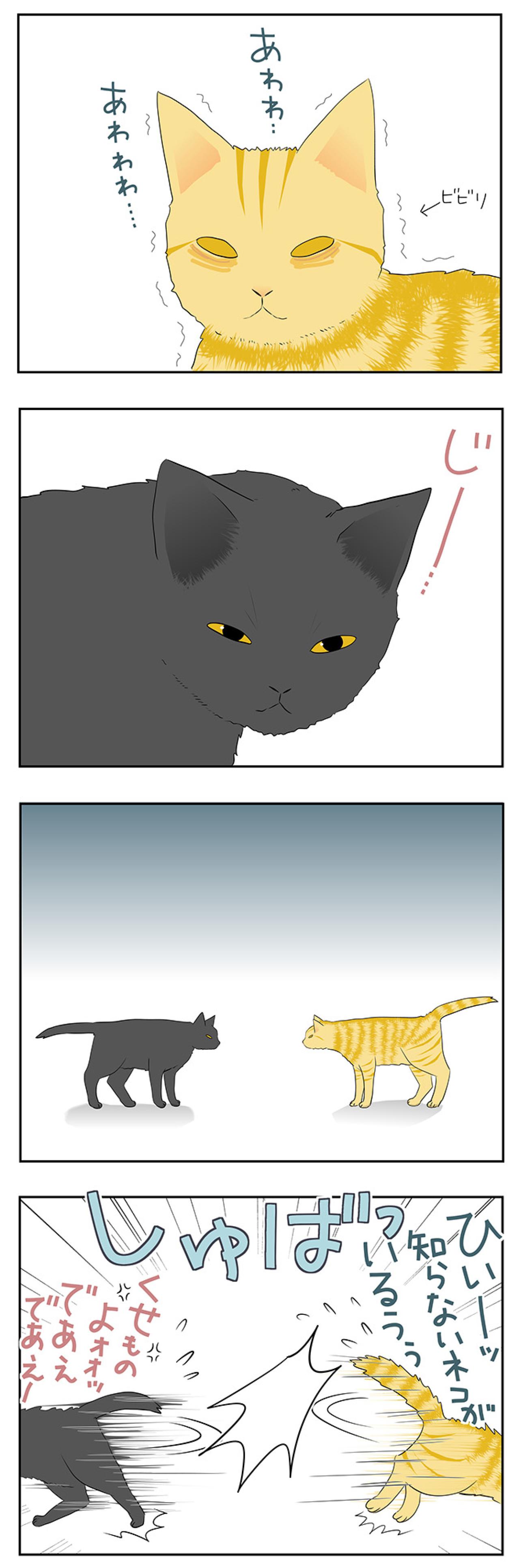 【老猫マンガ】猫、互いの存在を忘れる？ 18歳の元保護猫・桃姐［＃34］（画像3）