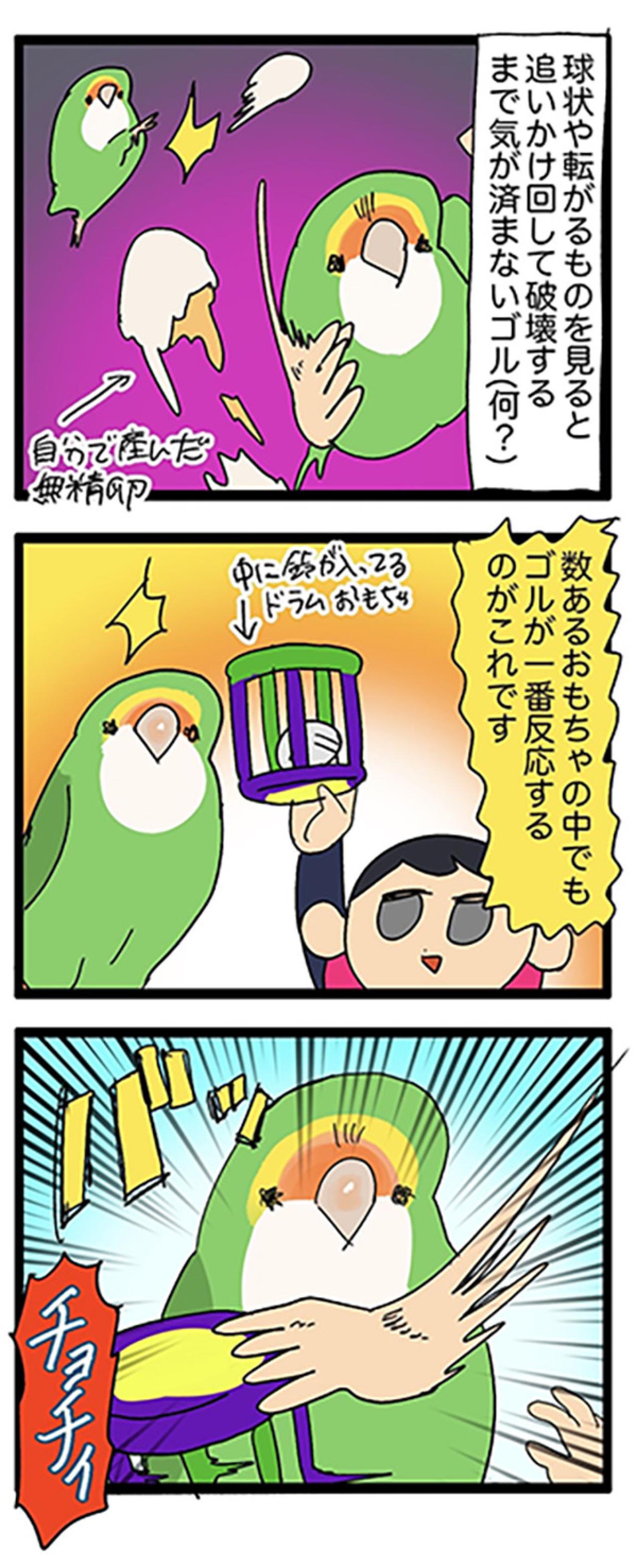 インコが触られて良いところ・悪いところ／暴れるインコが楽しそう【鳥マンガ＃55】（画像5）