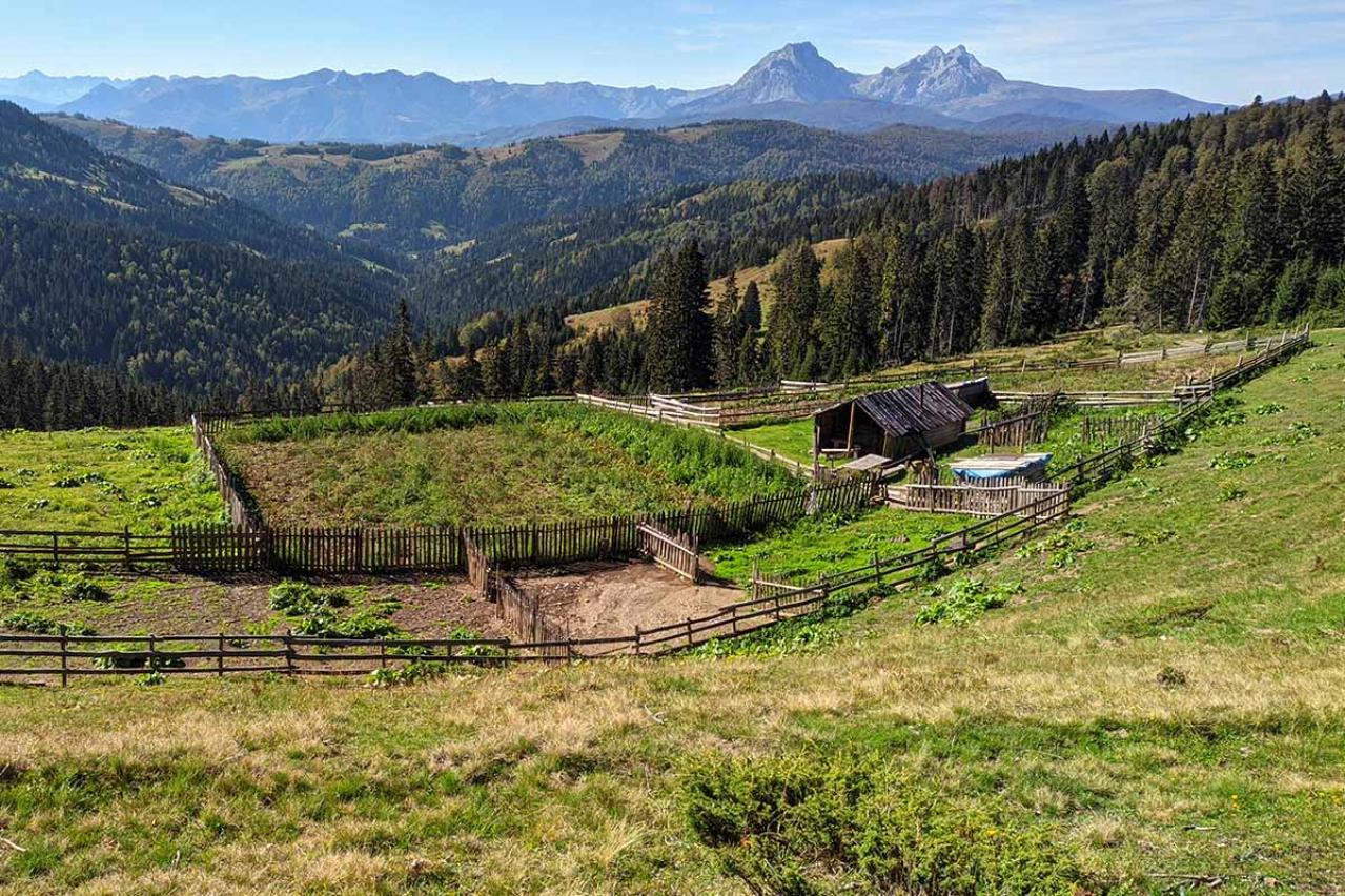 高村光太郎の『開墾』あらすじ紹介。「無理をしない」現代にも通じる、農業哲学を学ぶ