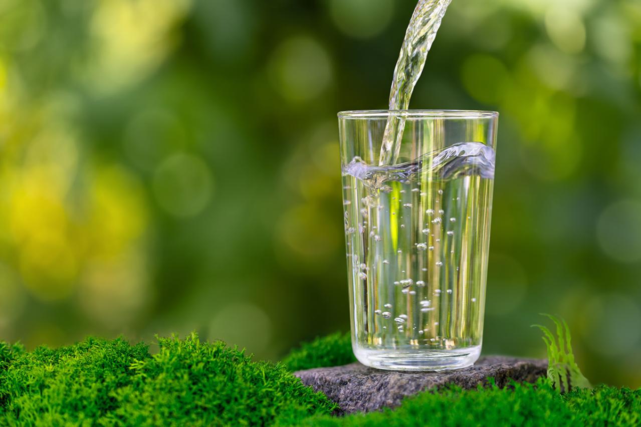 宮沢賢治の『あくたうかべる朝の水』あらすじ紹介。自然と人とが織りなす詩情とは？