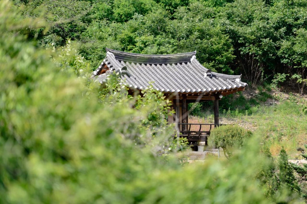 韓国ドラマ【ホジュン】20代になったジュンの激変姿に動揺したのは私だけではないはず！1〜9話レビュー（画像3）