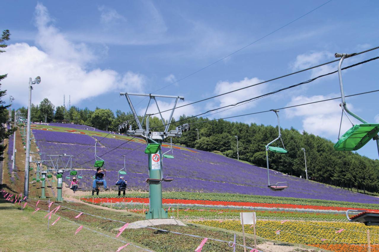 北星山ラベンダー園