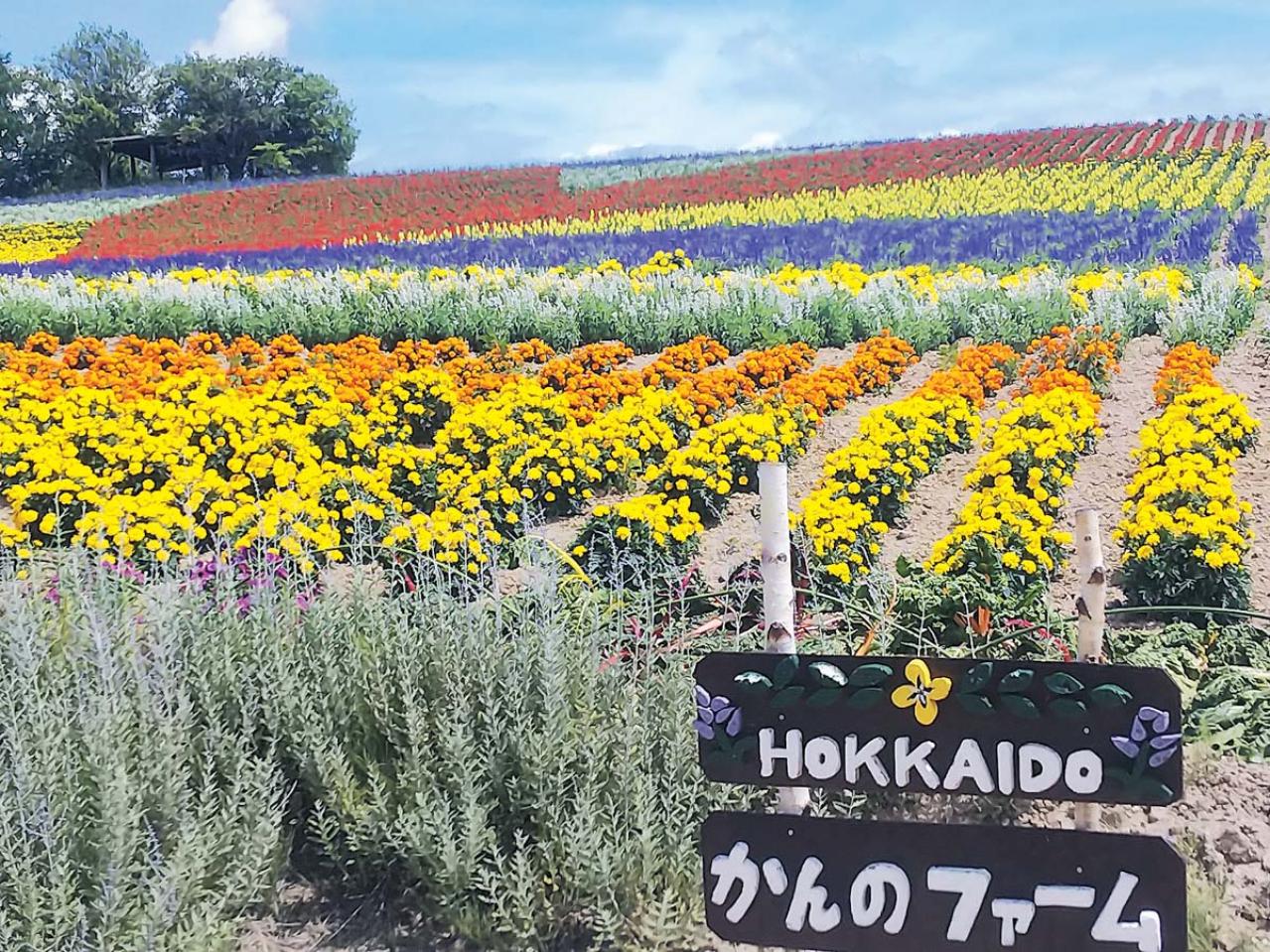 かんのファーム