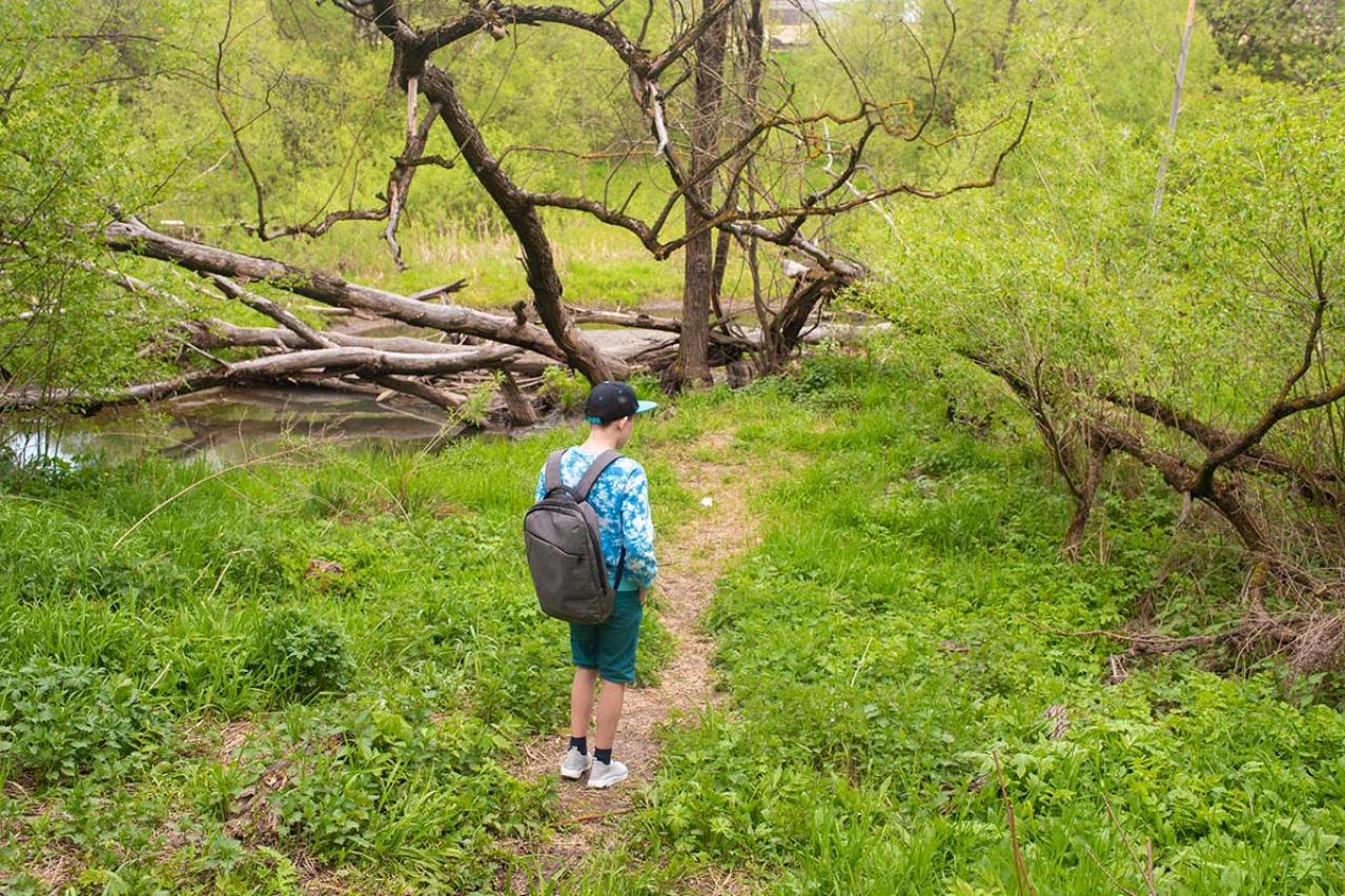 宮沢賢治の『あけがた』あらすじ紹介。幻想的で感覚的な世界を旅する物語