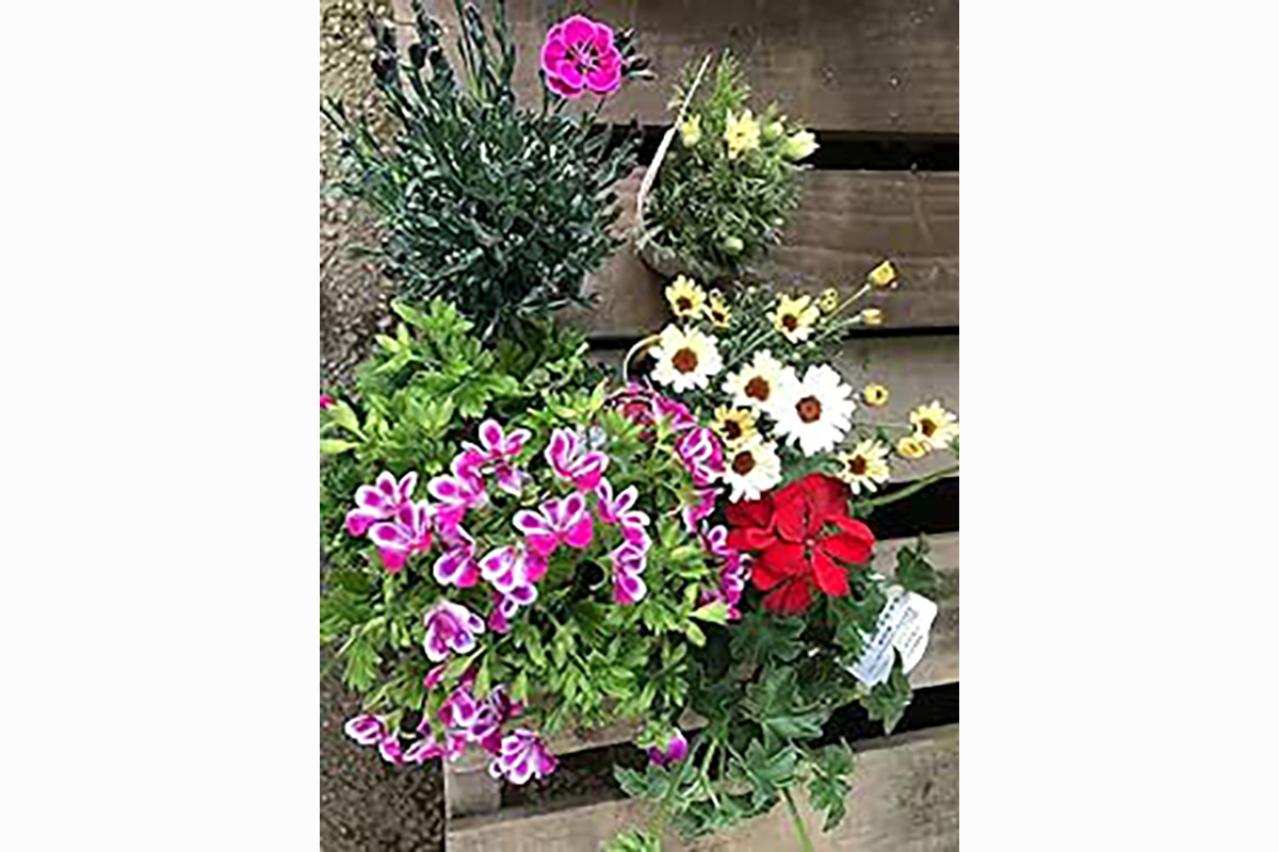 ガーデニングに最適な季節♪届いたらすぐに始められる【最大19％OFF】重くて大きい物は 【Amazonタイムセール】で！