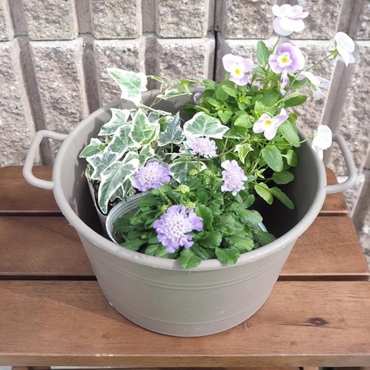 ガーデニングに最適な季節♪届いたらすぐに始められる【最大19％OFF】重くて大きい物は 【Amazonタイムセール】で！（画像4）