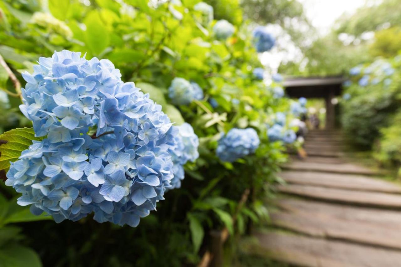 現実の“しんどさ”が際立つ典子（飯島直子）に共感！「続・続・最後から二番目の恋」は今の私たちに刺さる 第7話レビュー（画像2）