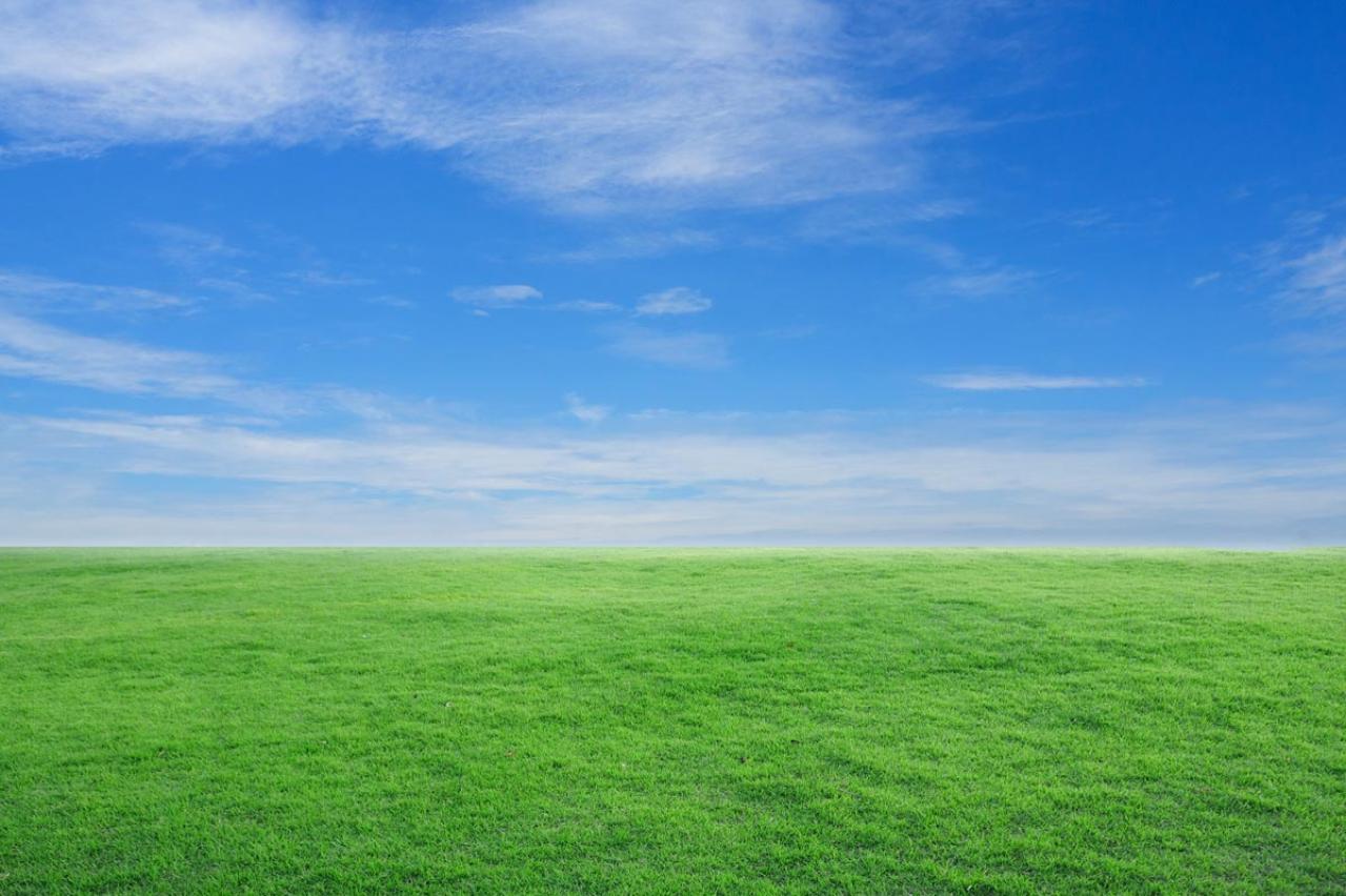 今年83歳・料理教室の人気講師 米澤佐枝子さんが実践する、3つのストレス解消法とは？