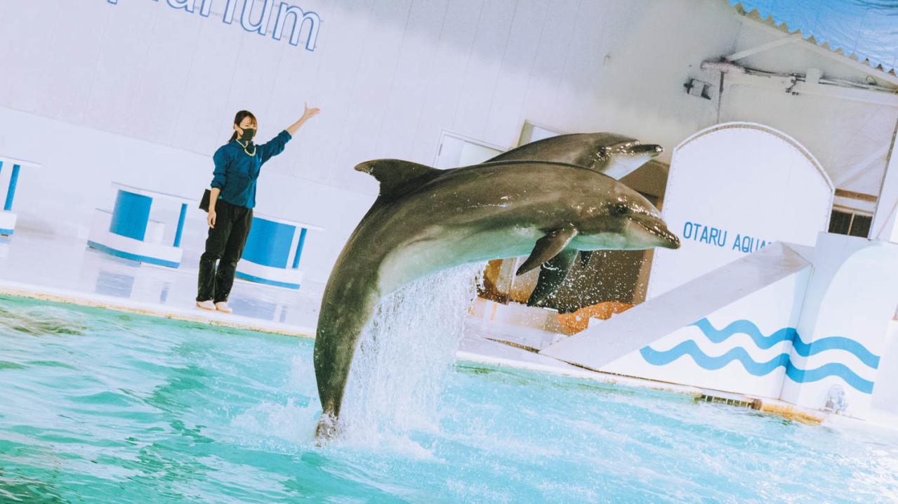 おたる水族館