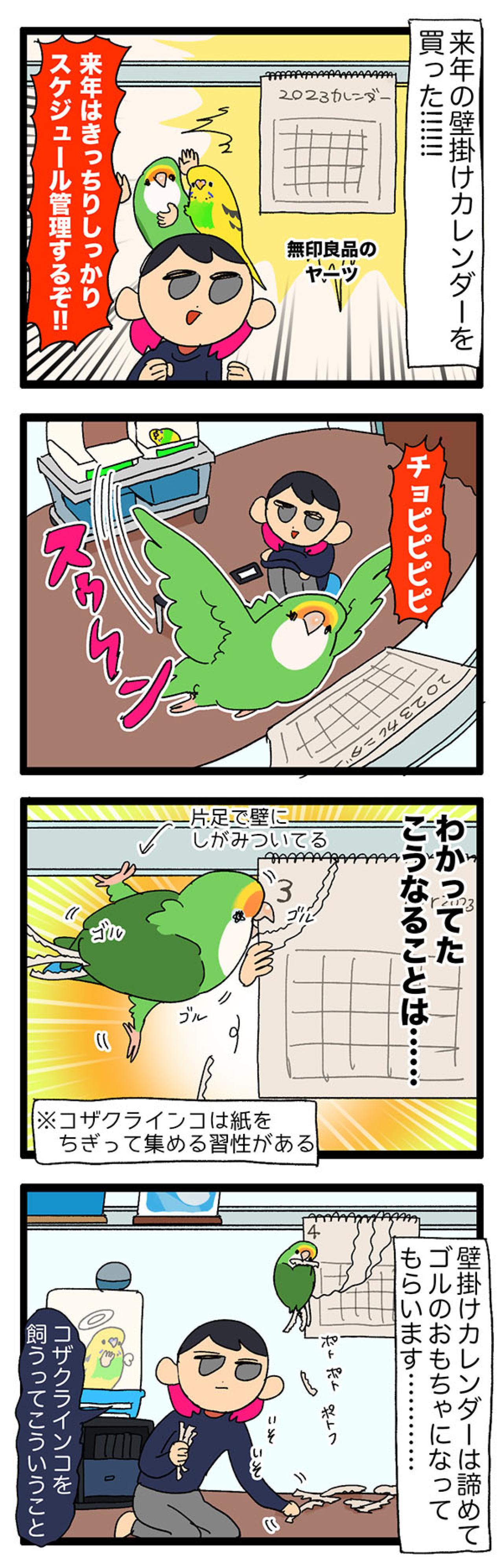 甘えん坊女帝インコにご用心！／インコのおかげで来年の1～3月がない【鳥マンガ＃60】（画像5）