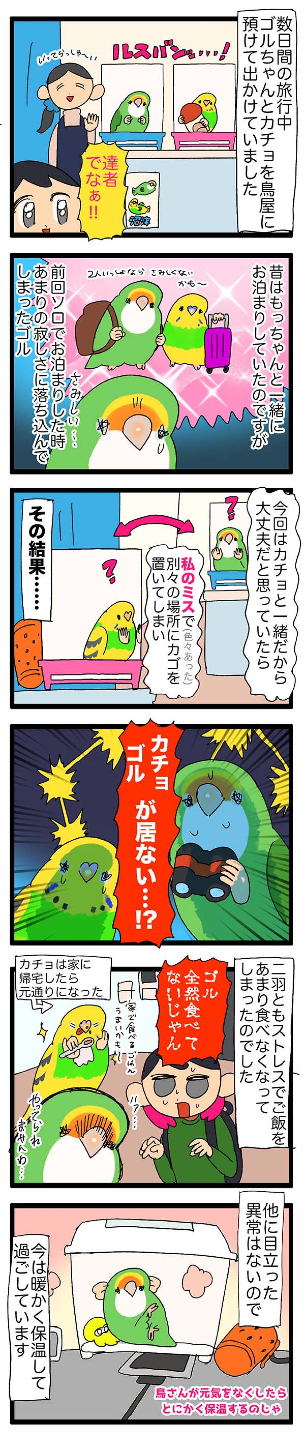 至福！インコと添い寝／インコたちが落ち込んだ理由は？【鳥マンガ＃59】（画像6）