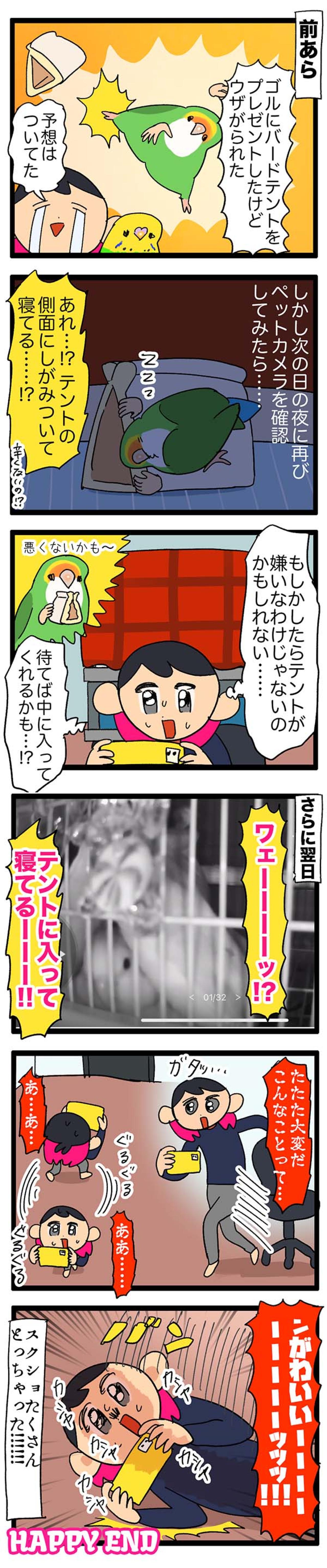 インコがバードテントを気に入ってくれた／愛鳥の好き嫌いを直す方法【鳥マンガ＃58】（画像3）