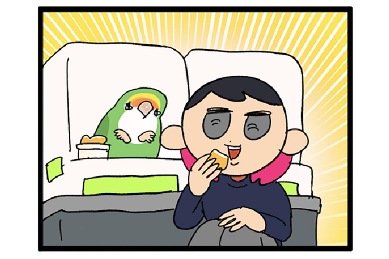 インコがバードテントを気に入ってくれた／愛鳥の好き嫌いを直す方法【鳥マンガ＃58】