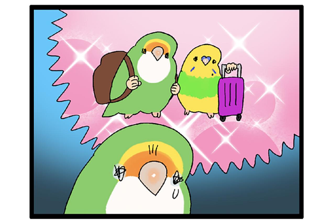 至福！インコと添い寝／インコたちが落ち込んだ理由は？【鳥マンガ＃59】