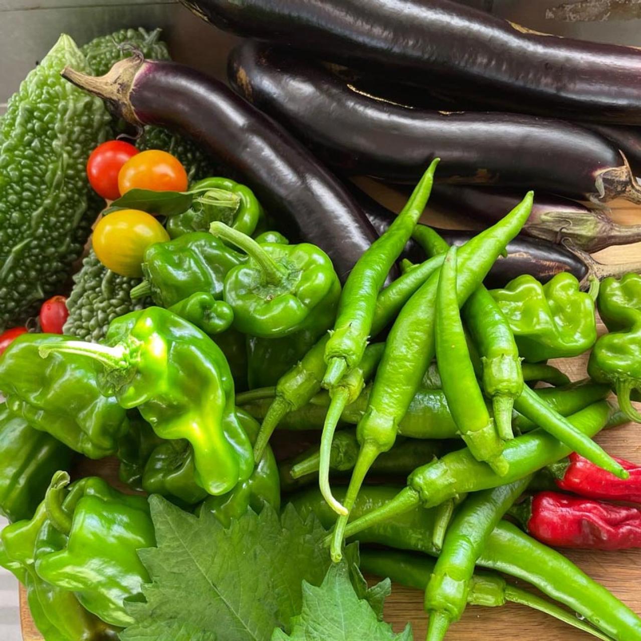 70歳のイラストレーター本田葉子さん。ひとり暮らしで家庭菜園を再開！“畑マジック”で早起き（画像2）