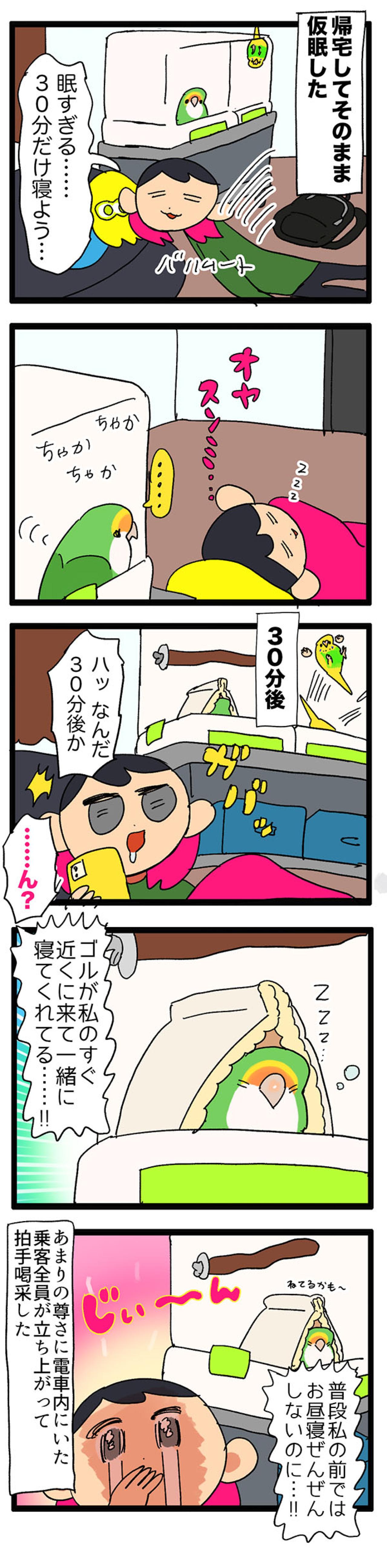 至福！インコと添い寝／インコたちが落ち込んだ理由は？【鳥マンガ＃59】（画像5）