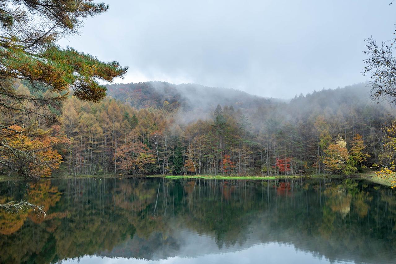 正岡子規の『かけはしの記』あらすじ紹介。旅情溢れる日本の美が細やかに描かれる
