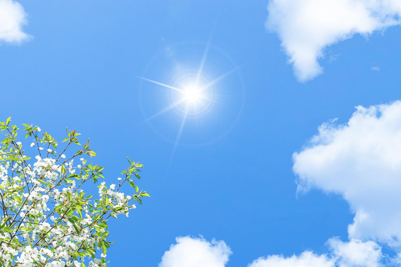 坂口安吾の『明日は天気になれ』あらすじ紹介。ゴルフ初心者のユーモラスな描写、地域性のある食文化…珠玉のエッセイ文学。