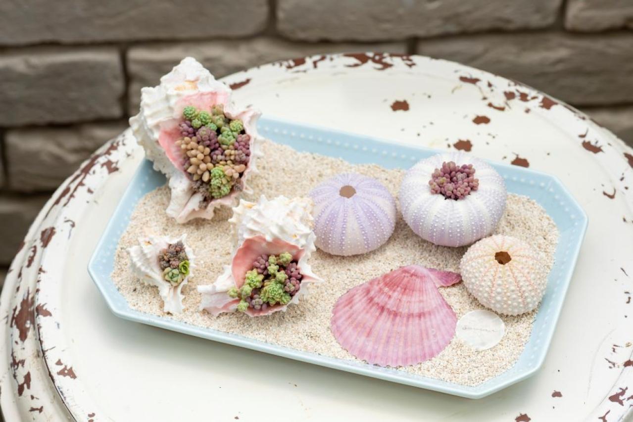 【ガーデニング】kurumiさんが提案！夏でも楽しめるサボテン・多肉植物の寄せ植え（画像6）