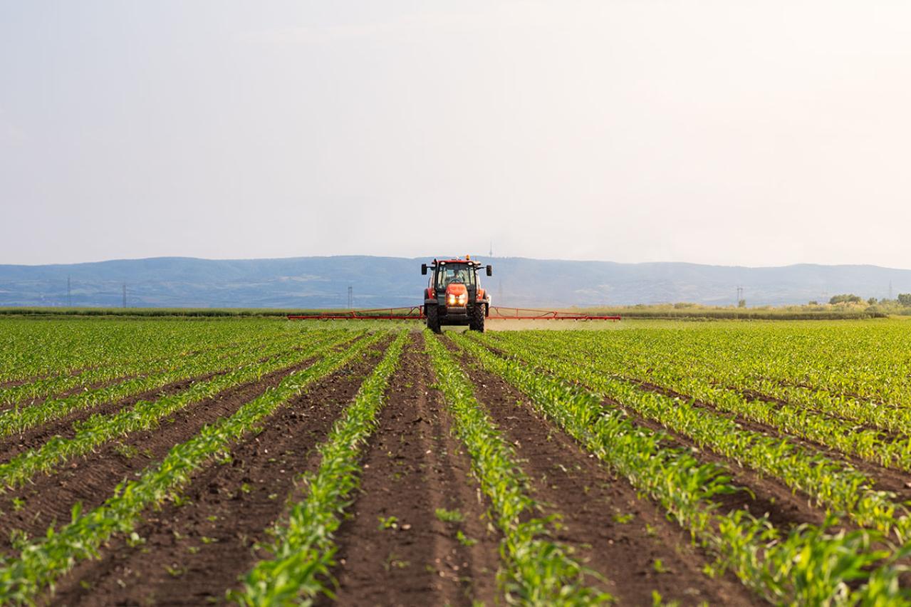 吉川英治の『鬼』あらすじ紹介。「鬼」と化し殉職した侍の一生。鋼の魂と涙、壮絶な生き様