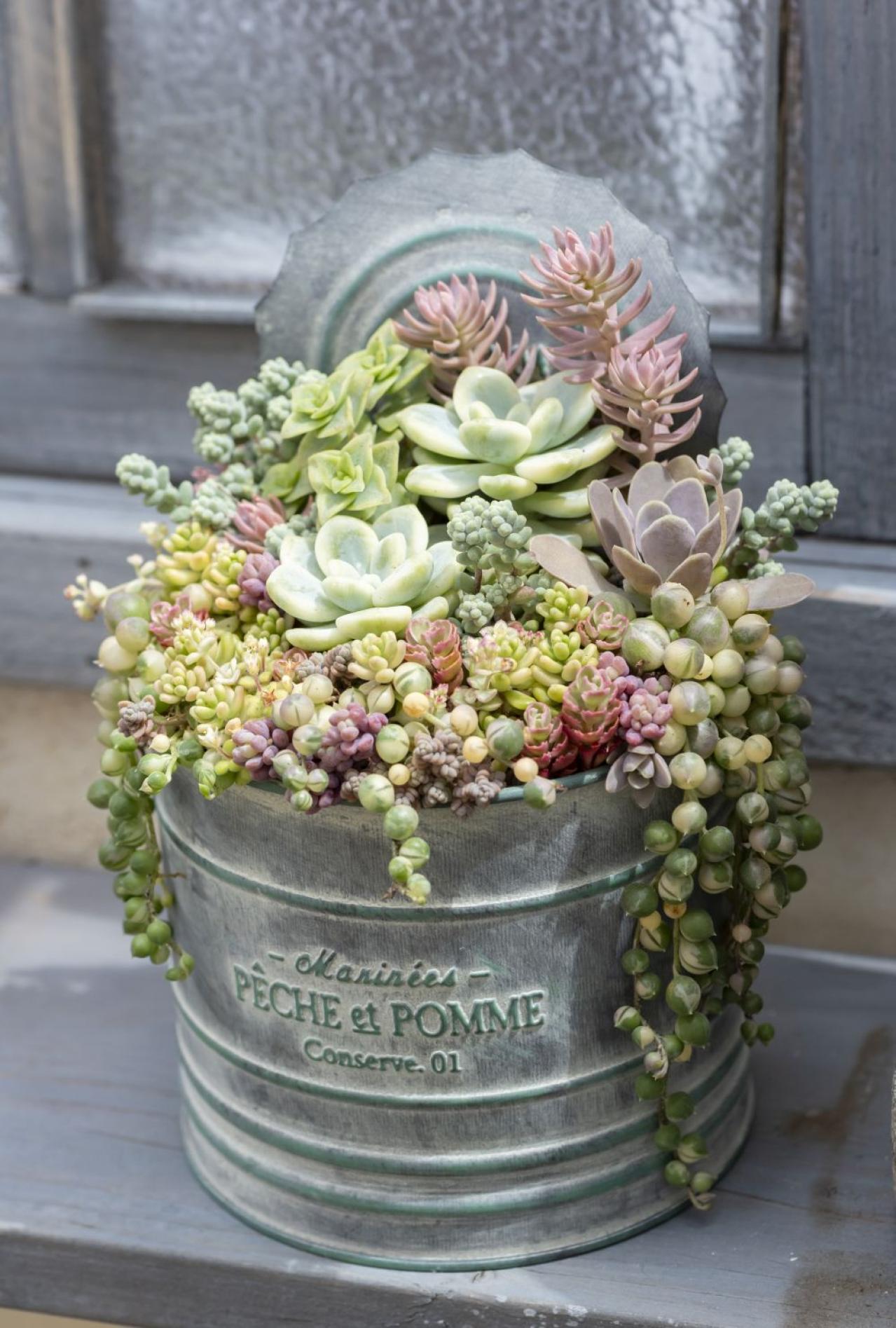 【ガーデニング】kurumiさんが提案！夏でも楽しめるサボテン・多肉植物の寄せ植え（画像2）