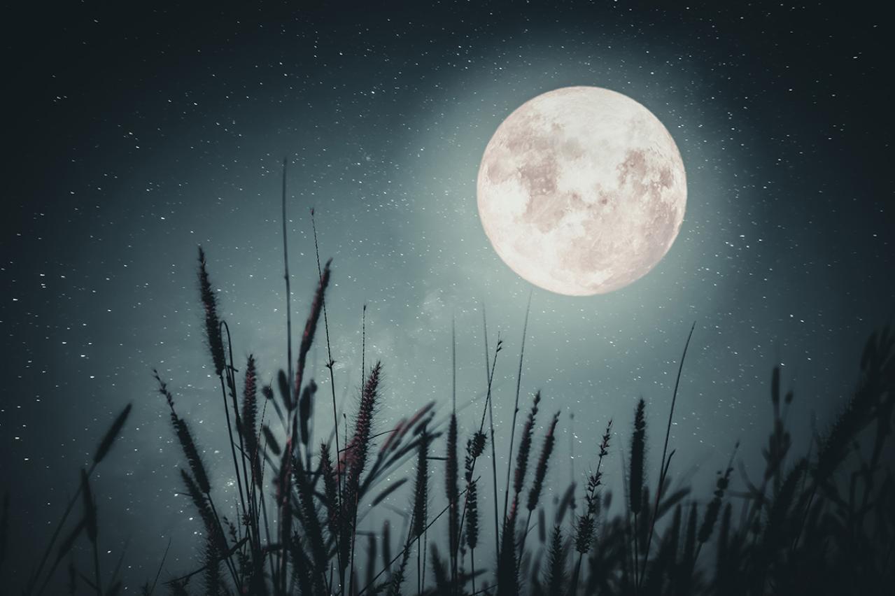 堀辰雄の『曠野』あらすじ紹介。過酷な運命の愛と人間模様を描いた名作