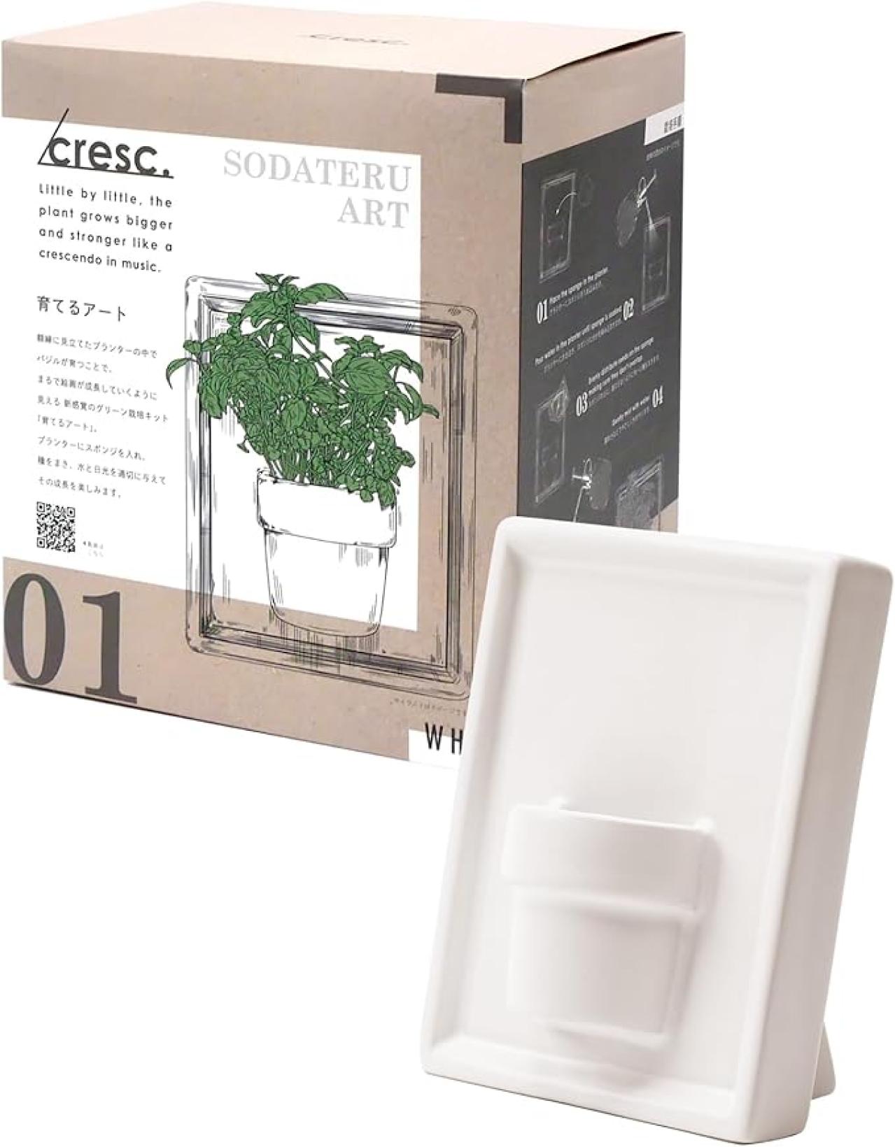 家庭菜園を始めてみるなら【最大20％OFF】栽培キット、種、育苗ポットも【Amazonタイムセール】（画像3）