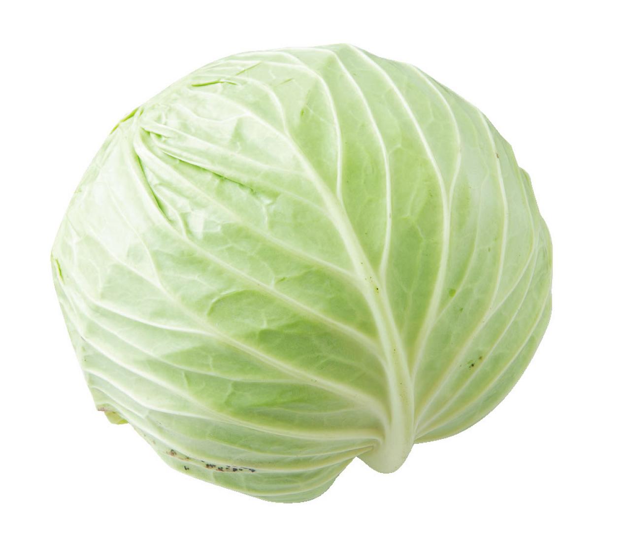  体内にたまった毒が【認知症】の原因の1つ!?  毒素排出効果のある食べ物を長寿研究の第一人者・白澤卓二さんが解説（画像9）