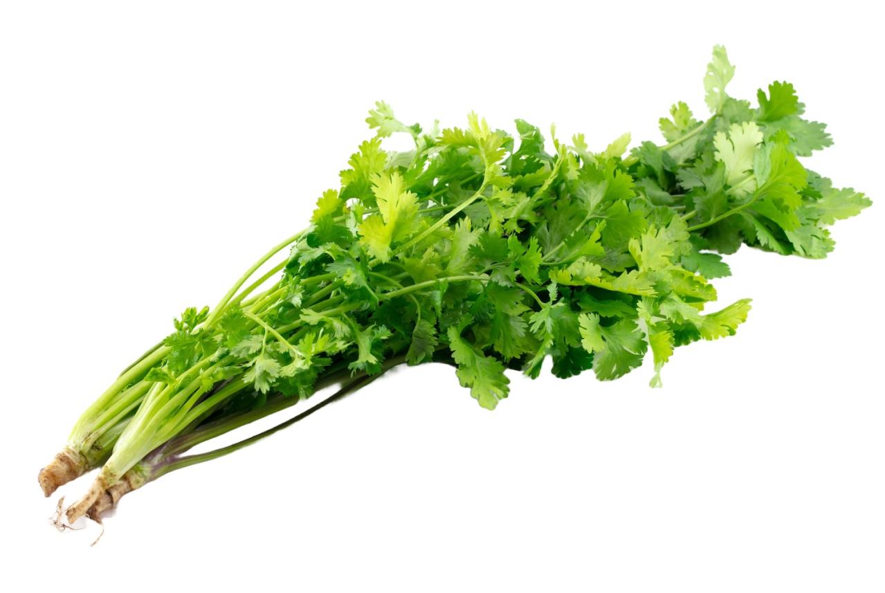  体内にたまった毒が【認知症】の原因の1つ!?  毒素排出効果のある食べ物を長寿研究の第一人者・白澤卓二さんが解説（画像8）